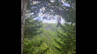 hike  Myra Canyon KVR Myra FSR  Kelowna BC Canada familyhike nature attraction veiws [upl. by Laroc178]