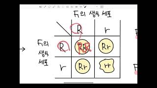 생명과학Ⅰ 40차시 멘델의 법칙 멘델의 법칙을 만족하지 않는 유전 [upl. by Eyk]