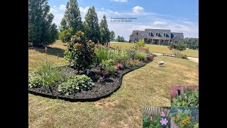 End of June 2024 Garden Tour and Update on steel edging for front side garden 🌺☀️ [upl. by Salis638]