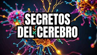 Neurotransmisores Qué Son Sus Funciones y Tipos Principales [upl. by Corsetti]