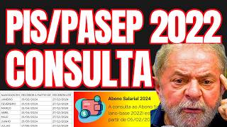 CONSULTA PISPASEP 2022 NO CALENDÁRIO 2024  AS FORMAS DE VER SE TEM DIREITO AO SAQUE ABONO SALARIAL [upl. by Acinomed]