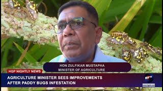 AGRICULTURE MINISTER SEES IMPROVEMENTS AFTER PADDY BUGS INFESTATION [upl. by Eelhsa]