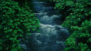 Natures Stress Relief Water Stream Sounds for Ultimate Relaxation [upl. by Innis478]