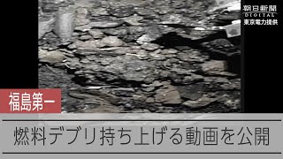 福島第一原発2号機の燃料デブリ取り出し 公開後に映像トラブルで作業中断、再開は見通せず [upl. by Eireva27]