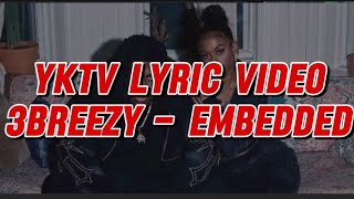 3Breezy  Embedded Lyric Video [upl. by Noslrac]