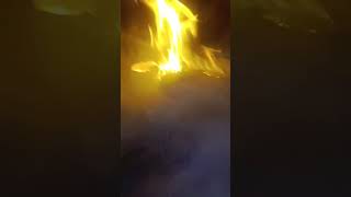 Dakh lo bhi forest ma fire lgg gye viewsviralvideosubscribersgrow viralshort subscribe [upl. by Anirbas]