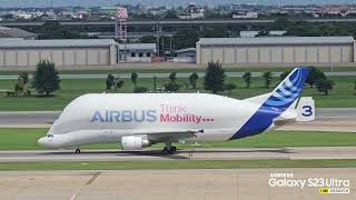 Airbus Beluga A300600ST takeoff  Don Mueang International Airport [upl. by Ettenrahc]