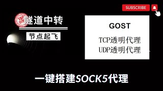 【搞机零距离】一键搭建Gost加密隧道中转服务器，隧道中转加密，落地解密对接中转机！可以 配合 V2ray 客户端，和Xray 客户端使用。 [upl. by Carothers905]