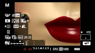 Canon EOS 5D Mark III  Tutorial Basic Video Operation 814 [upl. by Eahs892]