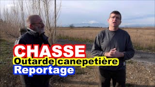 CHASSE  Comptage migrateur et outarde canepetière Tetrax tetrax [upl. by Tildi]