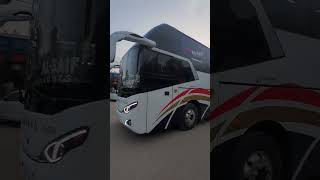 AL Saif bus falcon subscribe [upl. by Hoover291]