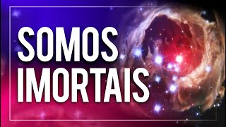 🌌 Somos IMORTAIS  Pelo Professor Wagner Borges Médium [upl. by Tima]