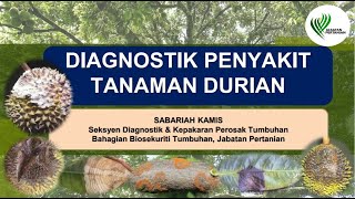 DIAGNOSTIK PENYAKIT TANAMAN DURIAN [upl. by Dianemarie375]