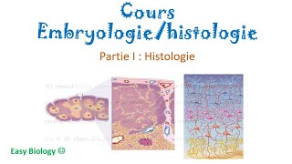 Histologie  Les épithéliums  Épithélium de revêtement et épithéliums glandulaires بالدارجة [upl. by Daphie905]