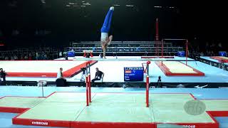 NAGORNYY Nikita RUS  2017 Artistic Worlds Montréal CAN  Qualifications Parallel Bars [upl. by Kimon]