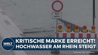 HOCHWASSER Kritische Marke erreicht RheinPegelstand steigt weiter  Schifffahrt eingeschränkt [upl. by Ianthe]