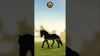 SSO SPOILER 2 brand new Sport Friesians and 2 brand new Norikers [upl. by Yoral]