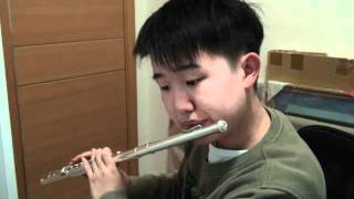 Nausicaa of the Valley of the Wind  Japanese anime song flute cover [upl. by Fari941]