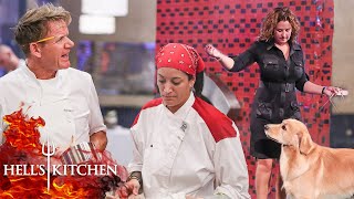 Chefs Make A Complete DOGS DINNER Of Service  Hells Kitchen [upl. by Sudnac]