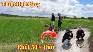 Linh Philip  Thiệt Hại Nặng Nề Sau Trân Mưa Đá To Nhất Từ Đầu Mùa Mưa Năm Nay [upl. by Stewart145]