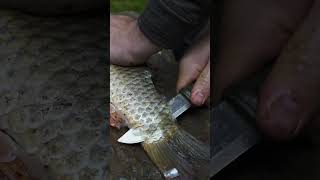 Fisch traditionell am Feuer zubereiten🔥 bushcraft [upl. by Ayiram894]