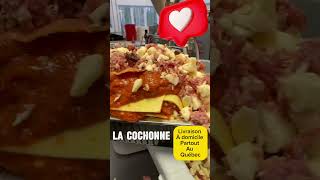 lasagnelacochonnevideo [upl. by Larina]