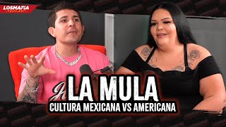 Asi eś la Cultura en USA vs MÉXICO — La MULA [upl. by Anneh]