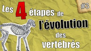 PaléoJ 3  les 4 étapes de lévolution des Vertébrés [upl. by Genevra]