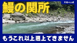 【うなぎ釣り】鰻の関所 〜もうこれ以上遡上できません〜 天竜川の秋葉ダム下付近にも鰻はいます！！ [upl. by Bluhm]