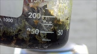 Synthesis of Copper II Chloride Dihydrate [upl. by Wolfe541]