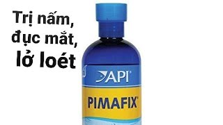 Pimafix Thần dược trị nấm nấm mắt phấn trắng [upl. by Ahtilat]