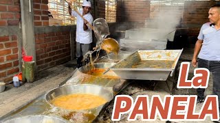 COLOMBIA es el segundo mayor productor de PANELA en el mundo Documental [upl. by Fadiman]