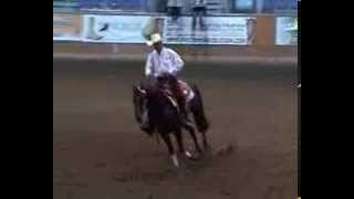 Alex Jarmuła na KS Whizaway  World Reining Championship Manerbio Italy 2008 [upl. by Bijan]