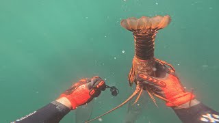 24 Hour Lobster Diving Season Opener  INSANE CATCH [upl. by Lemmy]