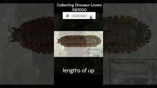 Giant Prehistoric Creepy Crawlies Meganeura and Arthropleura [upl. by Jeff]