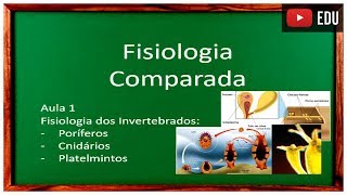 Aula 1 Fisiologia Comparada [upl. by Stila]