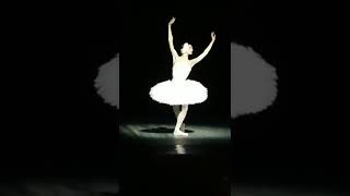 Svetlana Zakharova Dying Swan [upl. by Aicirtal]