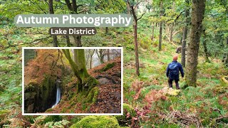 Autumn Photography in the Same Woodland Over a Month [upl. by Korns]