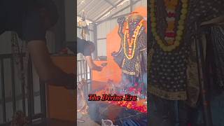 Kala Bhairava Ashtakam by Dhanush 🚩 Devaraja Sevyamana🔱 Bholenath 🚩🔱 Mahakaal 🔱 Har har Mahadev 🔱🙏🏻🚩 [upl. by Astri803]