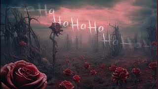 Tan FeelzHa Ha Ha Lyrics [upl. by Attezi]