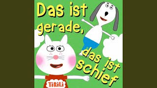 Das ist gerade das ist schief [upl. by Esilehs]