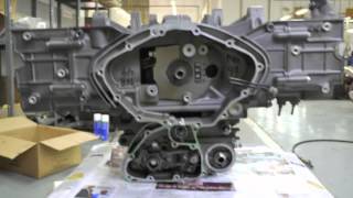 Goldwing Engine Rebuild [upl. by Dweck]