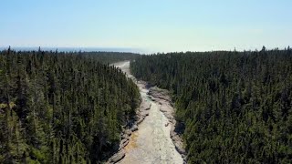 Quebecs Anticosti Island named UNESCO heritage site [upl. by Ahsiemal]