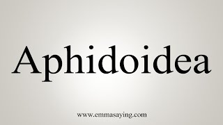 How To Say Aphidoidea [upl. by Woodford]