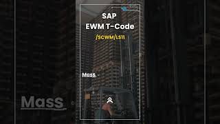 Mass Update Storage Bins in SAP EWM  Tcode SCWMLS11 Guide [upl. by Drandell]