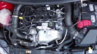 Ford 10L Ecoboost 3Cylinder startup and revving [upl. by Huldah]