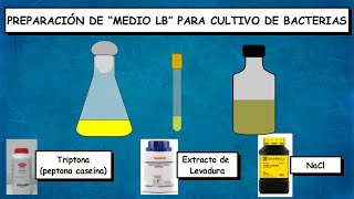 Preparación de medio de cultivo LB para cultivo de bacterias [upl. by Nuli]