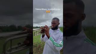 tekno wayo trumpet cover [upl. by Florine]