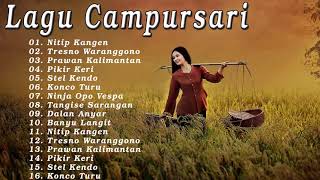 New pallapa Full Album Lagu Campursari Terbaru 2023  Dangdut Koplo ll Kendang Cak Met 2023 [upl. by Vorfeld]