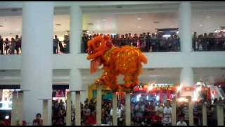 Lion Dance Championship 2010 Accident Malacca [upl. by Nuahsyd]